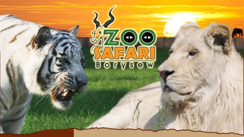 Domek letniskowy Peczniew Zewnętrze zdjęcie